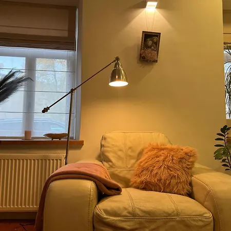 Apartment Cozy In The Heart Of Old Town With Free Parking