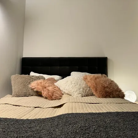 Cozy In The Heart Of Old Town With Free Parking Wilna